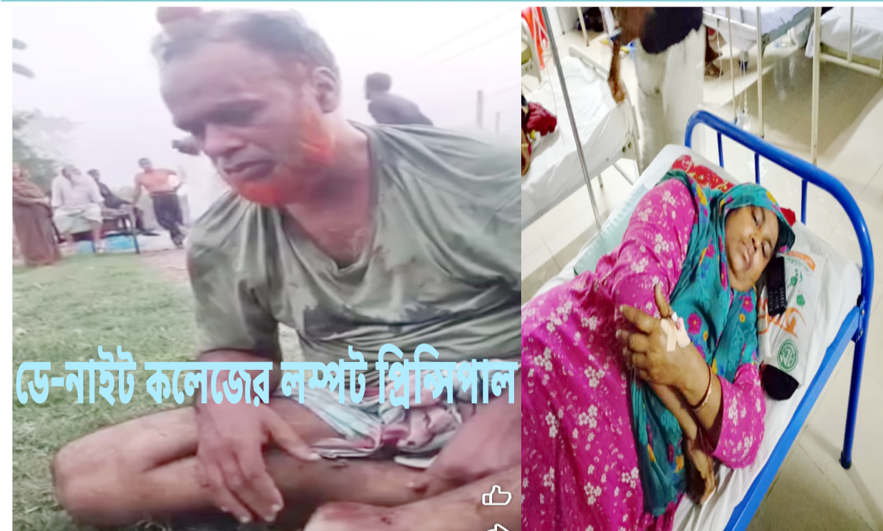 সদরের শীবপুর রাজাপুরে সাবেক এক ইউপি মহিলা সদস্যকে ধর্ষণ চেষ্টা!