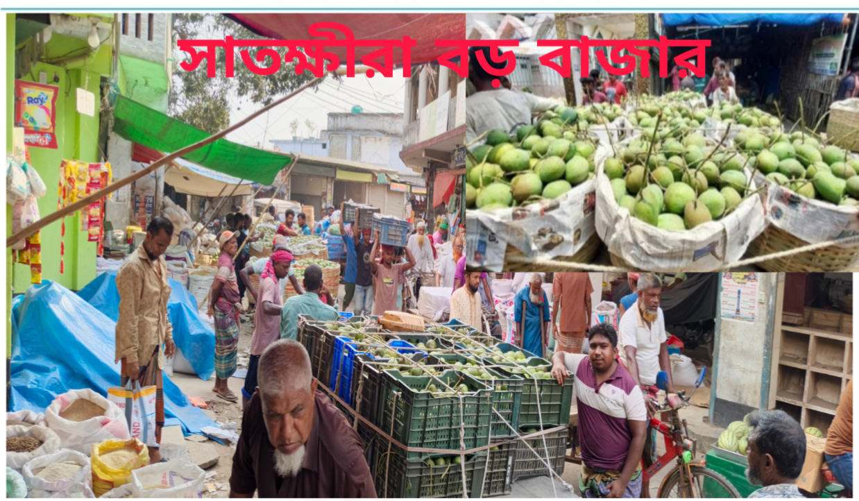 বাজার কমিটির চাঁদাবাজিতে নাকাল আমচাষিরা: প্রশাসনের নামে উঠছে চাঁদার টাকা!