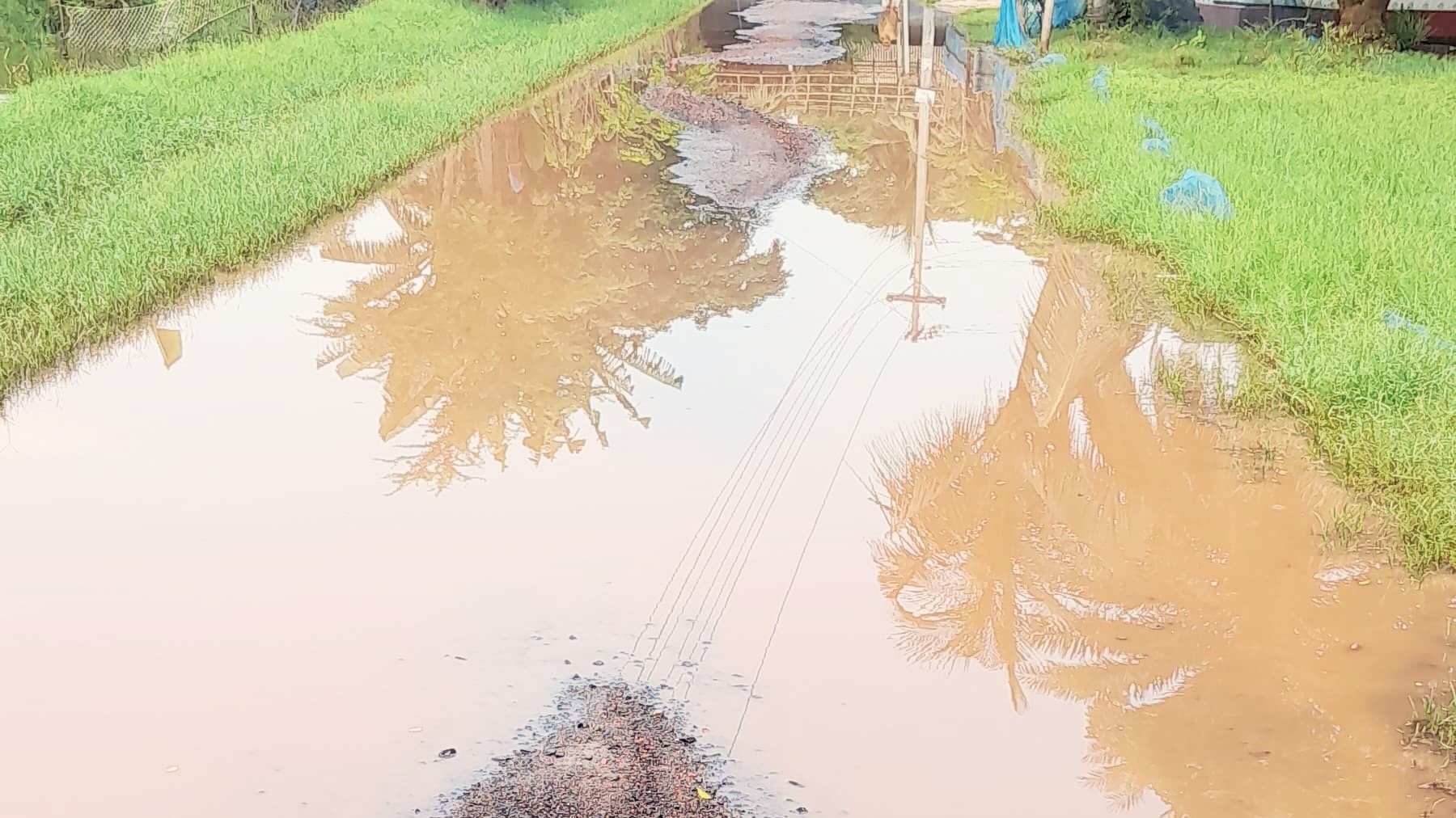 কালিগঞ্জের তালতলা-কালিকাপুর সড়ক চলাচলের অনুপযোগী