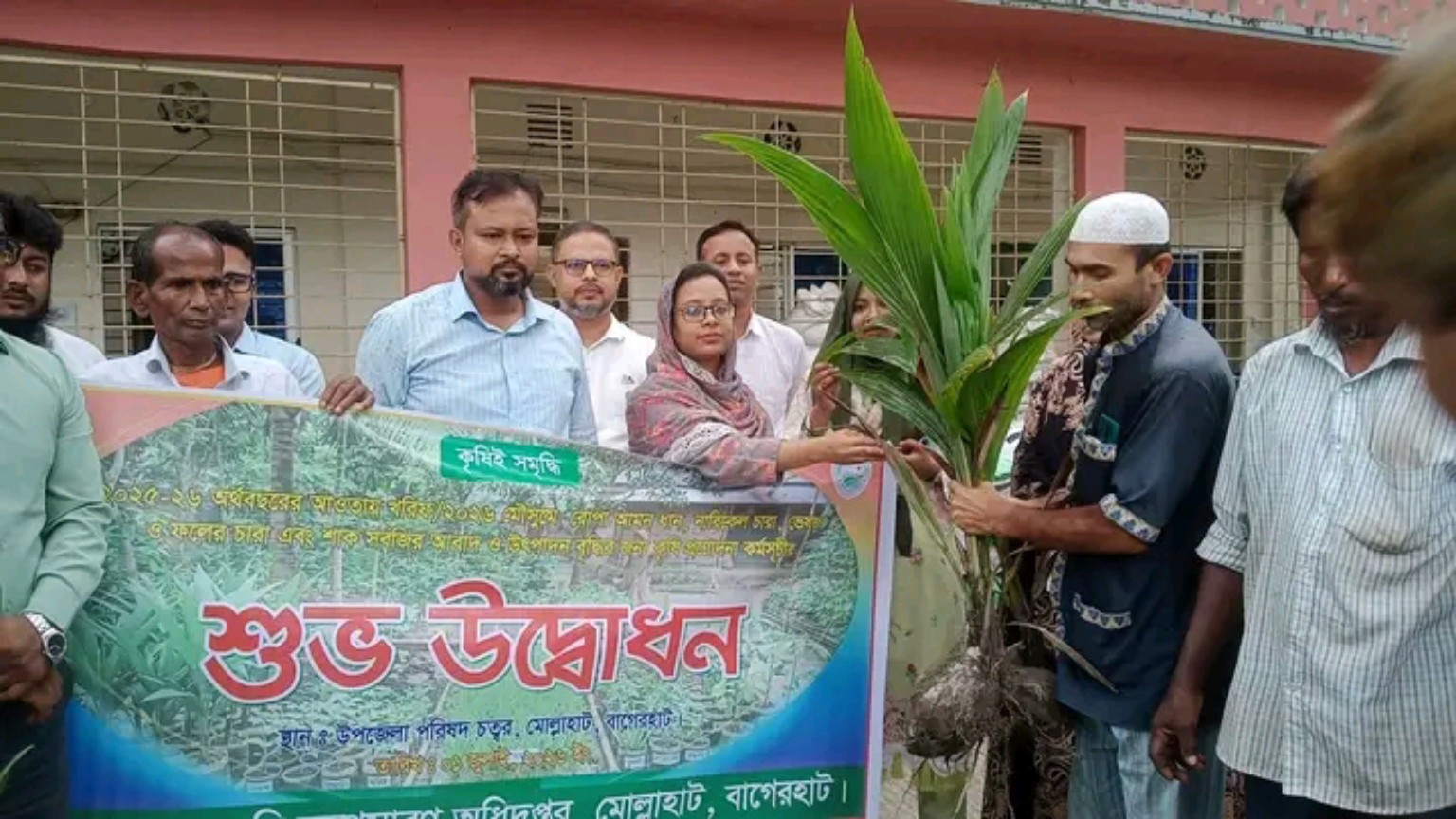 মোল্লাহাটে কৃষি প্রণোদনা কর্মসূচির উদ্বোধন