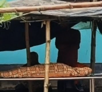 মোল্লাহাটে ভ্যান দুর্ঘটনায় এক যুবকের মৃ ত্যু