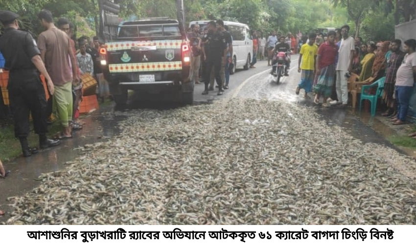 আশাশুনিতে মোবাইল কোর্ট ১৩ লক্ষ টাকার বাগদা বিনষ্ট