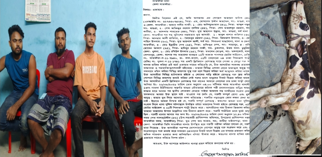 সাতক্ষীরায় অসুস্থ গরু এনে মাংস বিক্রির অপচেষ্টা পুলিশ ও জনতার হাতে আটক ৫ প্রতারক