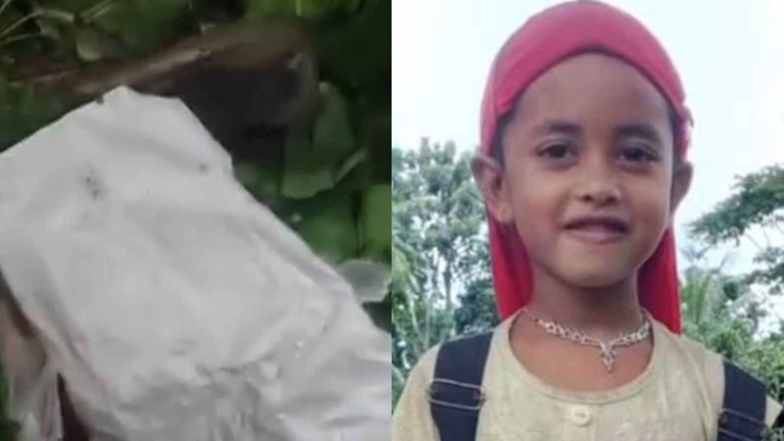 মোল্লাহাটে ৭ বছরের শিশুর গ*লা কা*টা লা*শ উ/দ্ধা/র, আটক ৩