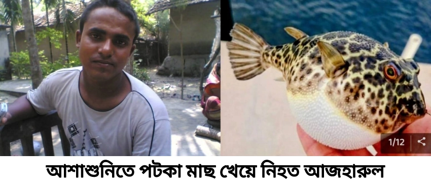 সাতক্ষীরায় পটকা মাছ খেয়ে একই পরিবারের ৪ জন অসুস্থ, ১জনের মৃত্যু